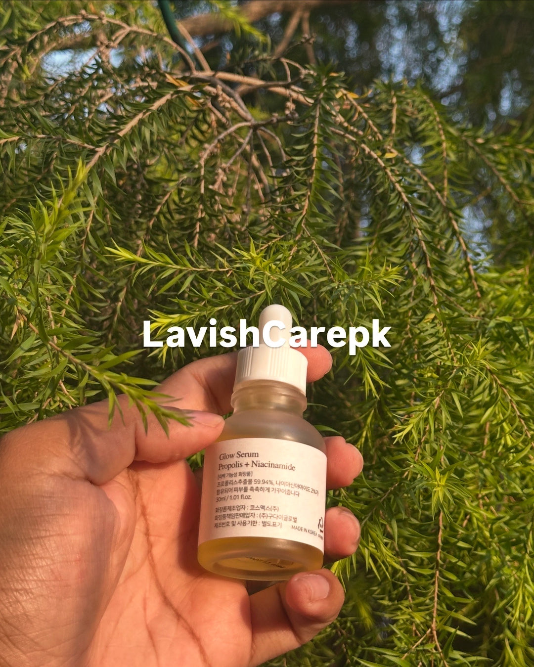 Beauty of Joseon Glow serum Including Propolis and Niacinamide