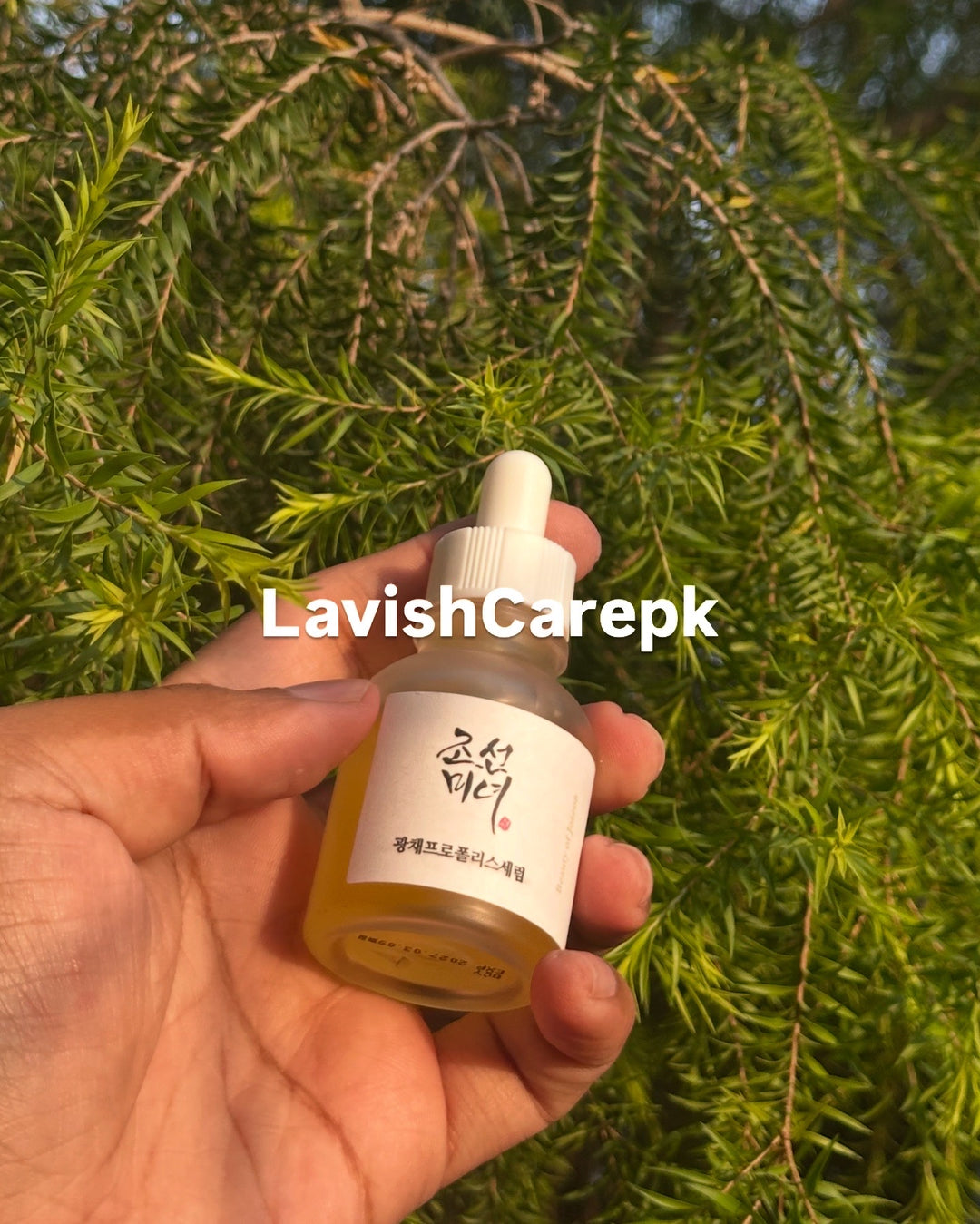 Beauty of Joseon Glow serum Including Propolis and Niacinamide
